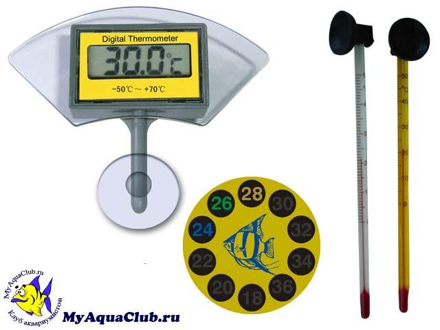 Дополнительное оборудование - Аквариумный термометр