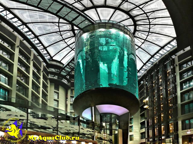 «АкваДом» — это один из крупнейших в мире аквариумов - Самые большие аквариумы мира