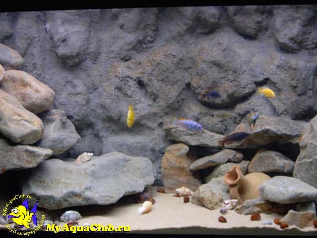 Стили оформления аквариумов - Грот