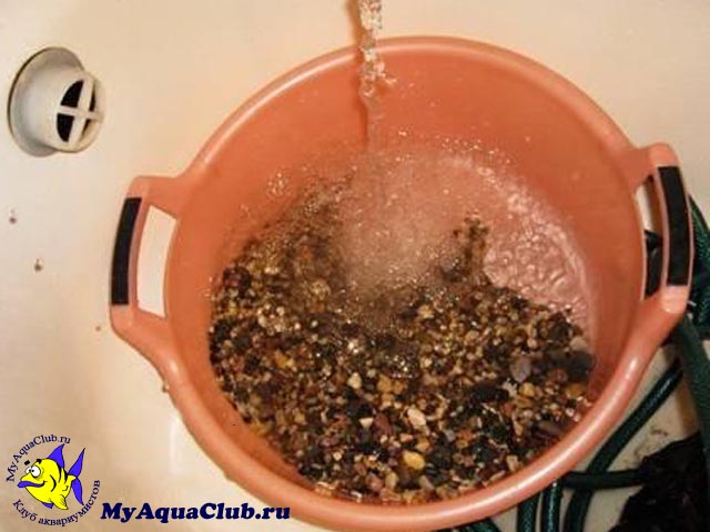 Подготовка аквариумного грунта - Промывка и дезинфекция грунта