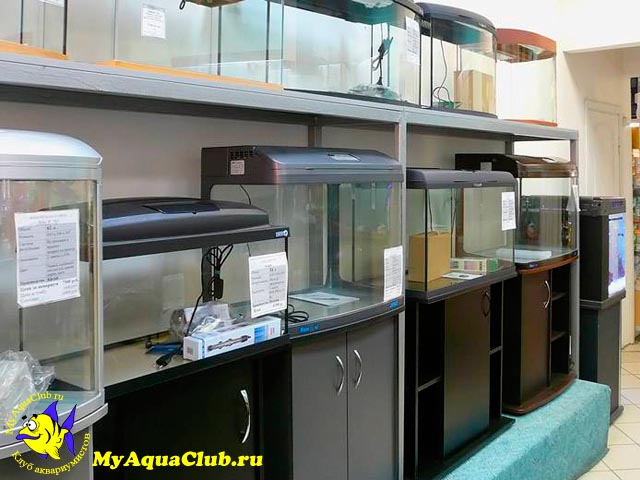 Как выбрать подходящий аквариум?