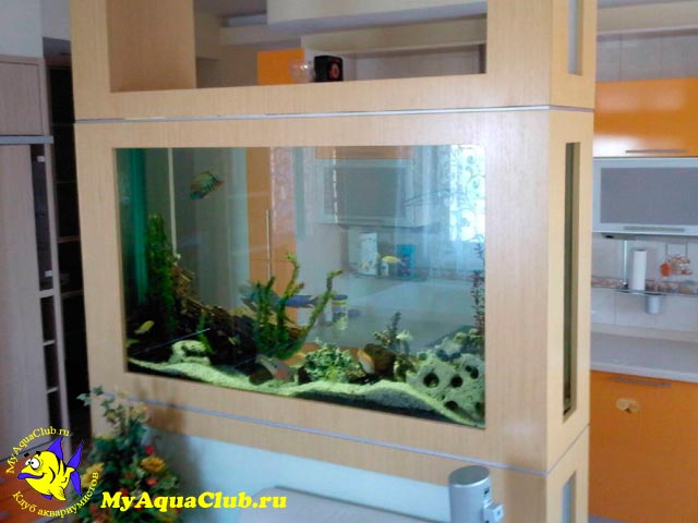 Как выбрать подходящий аквариум? - Аквариум Ширма