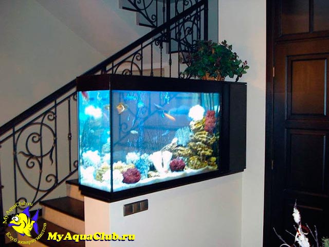 Как выбрать подходящий аквариум?