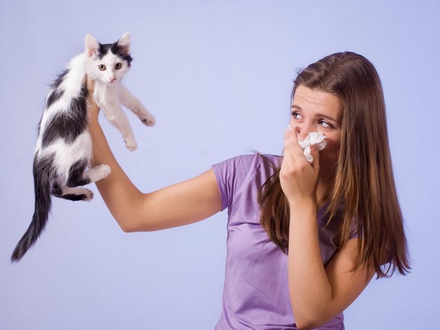 Какого домашнего питомца завести аллергику? 