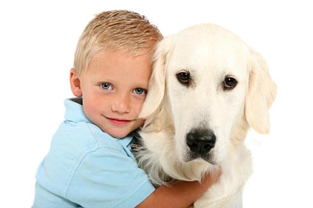 Какие породы собак лучше всего подходят для семей с детьми?